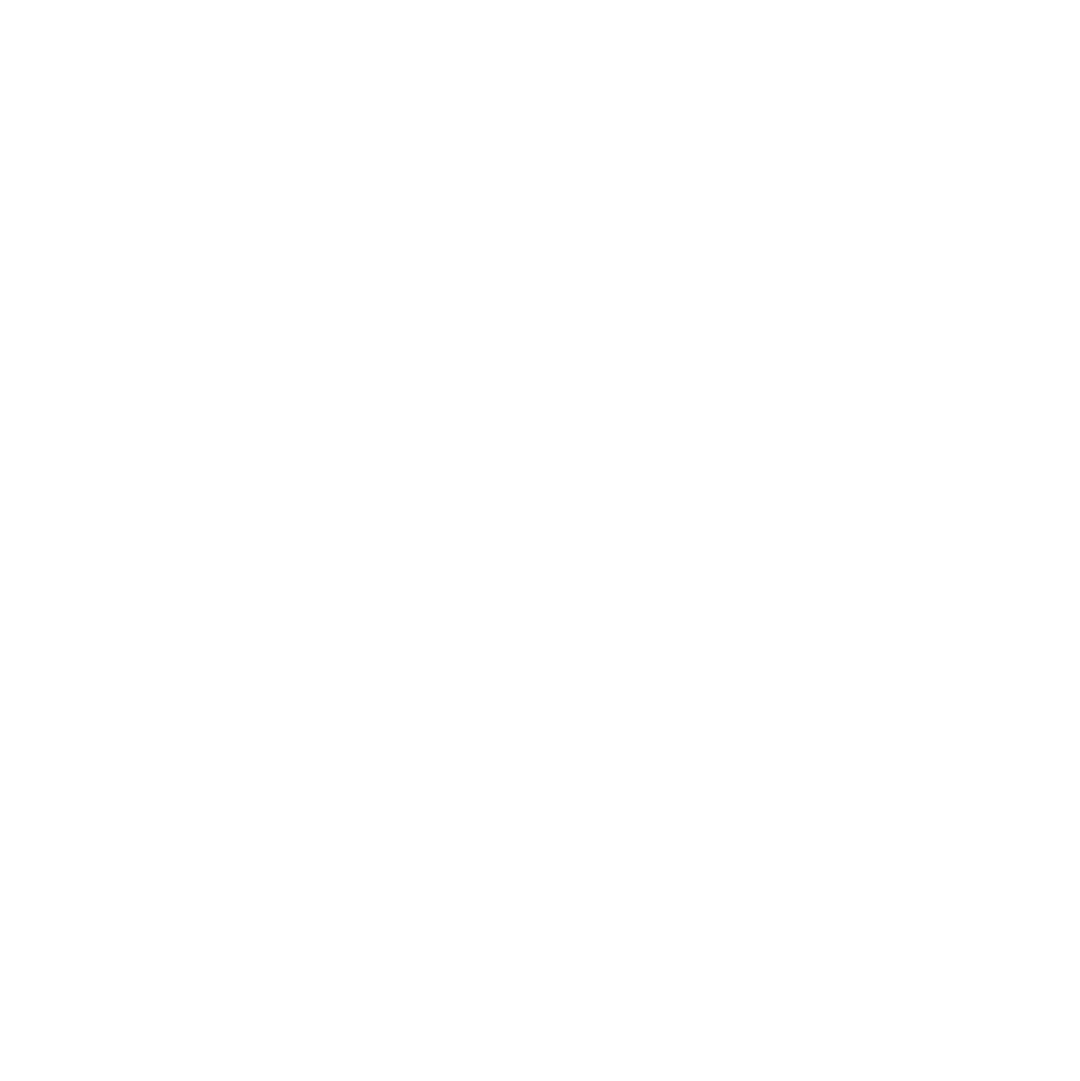 DOMOR DEV